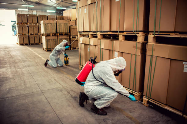 Best Termite Control Services  in Bella Vista, AR
