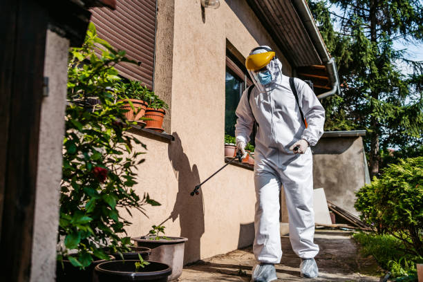 Trusted Bella Vista, AR Pest Control Experts