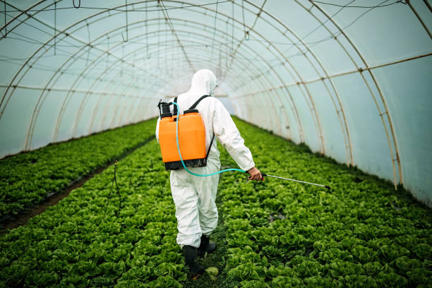 Best Pest Prevention Services  in Bella Vista, AR