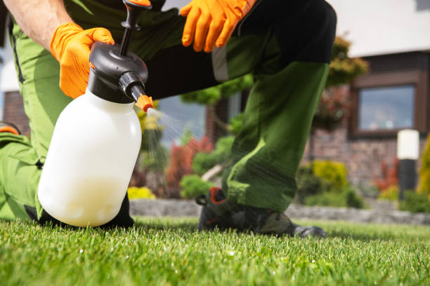 Best Pest Control for Homes  in Bella Vista, AR