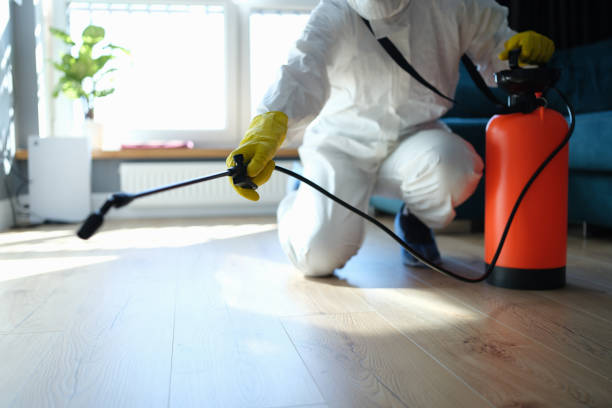 Best Affordable Pest Control Services  in Bella Vista, AR