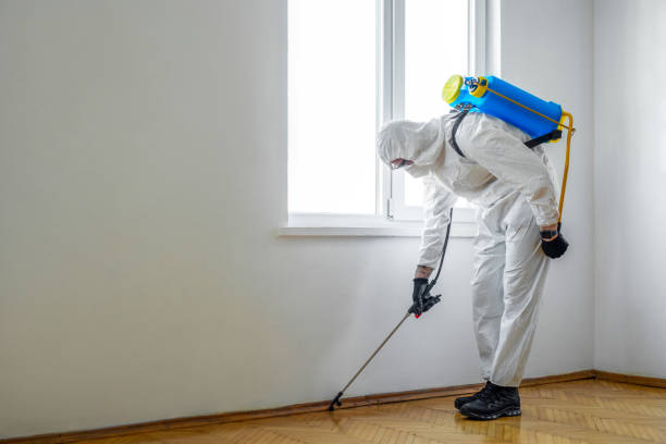 Best Local Pest Control Services  in Bella Vista, AR