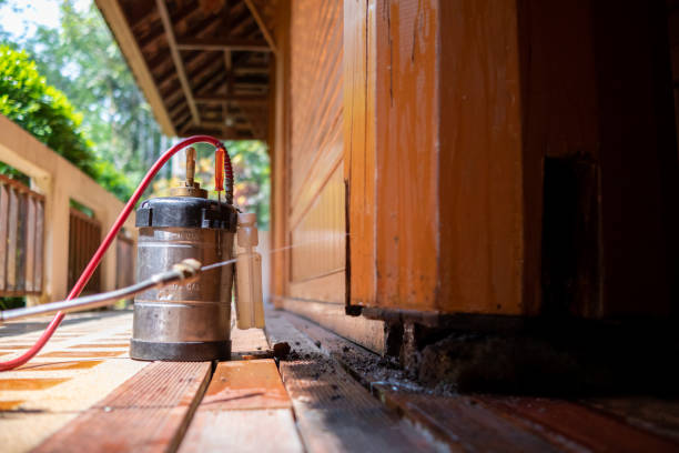 Best Best Pest Control Companies  in Bella Vista, AR