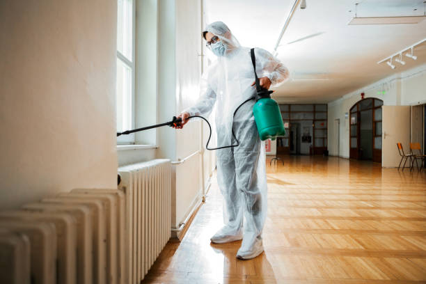 Best Termite Control Services  in Bella Vista, AR