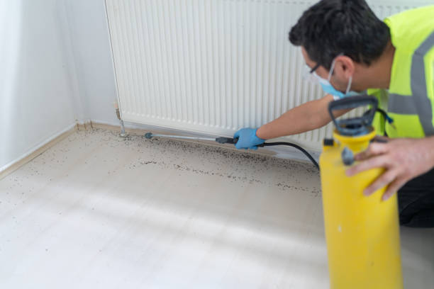 Best Residential Pest Control  in Bella Vista, AR