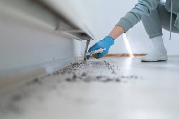 Best Wildlife Control Services  in Bella Vista, AR
